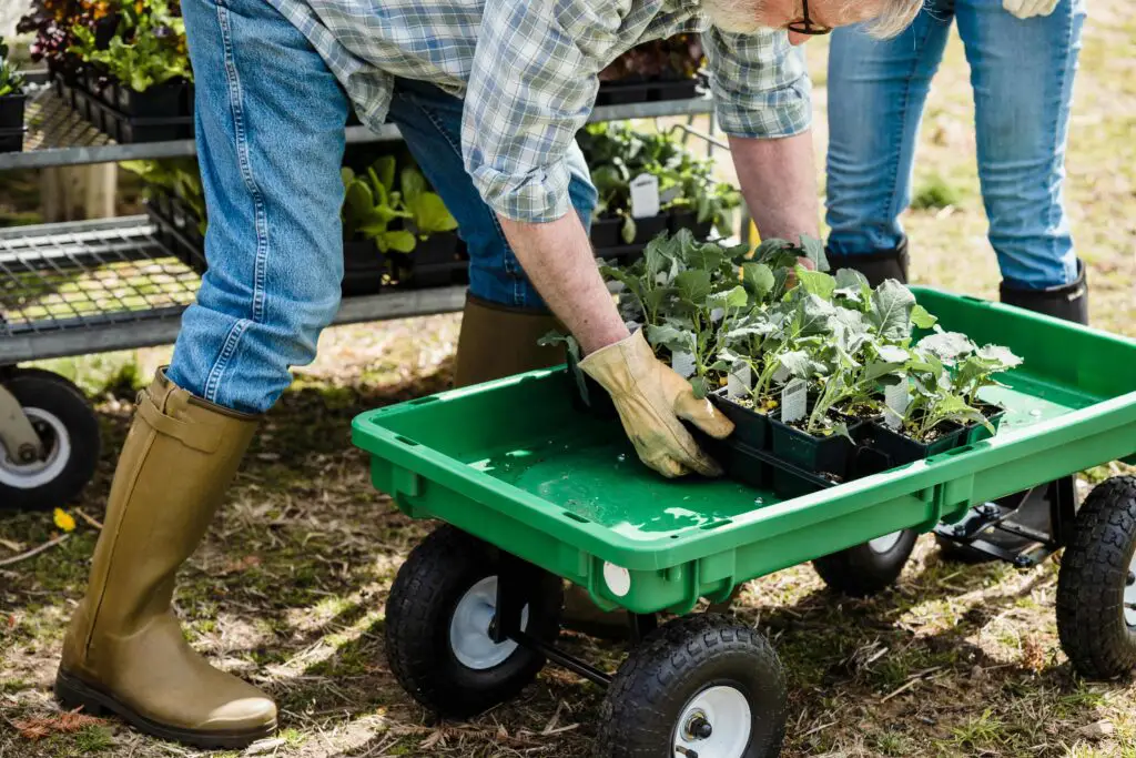 How To Grow Vegetables Indoors Without Sunlight
