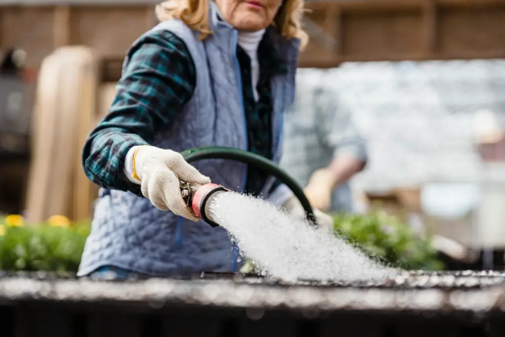 How To Grow Vegetables Indoors Without Sunlight