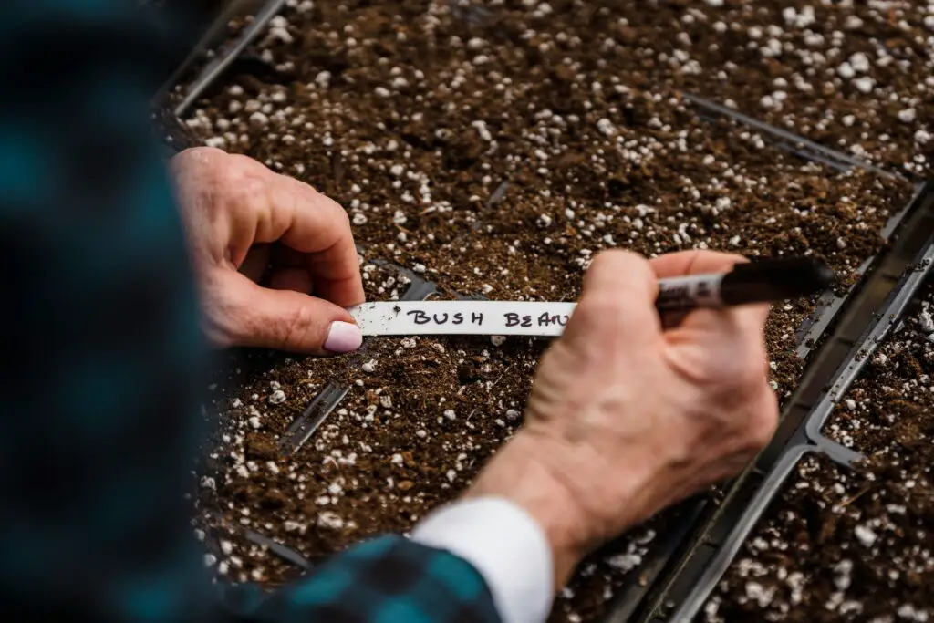 How To Grow Vegetables Indoors Without Sunlight
