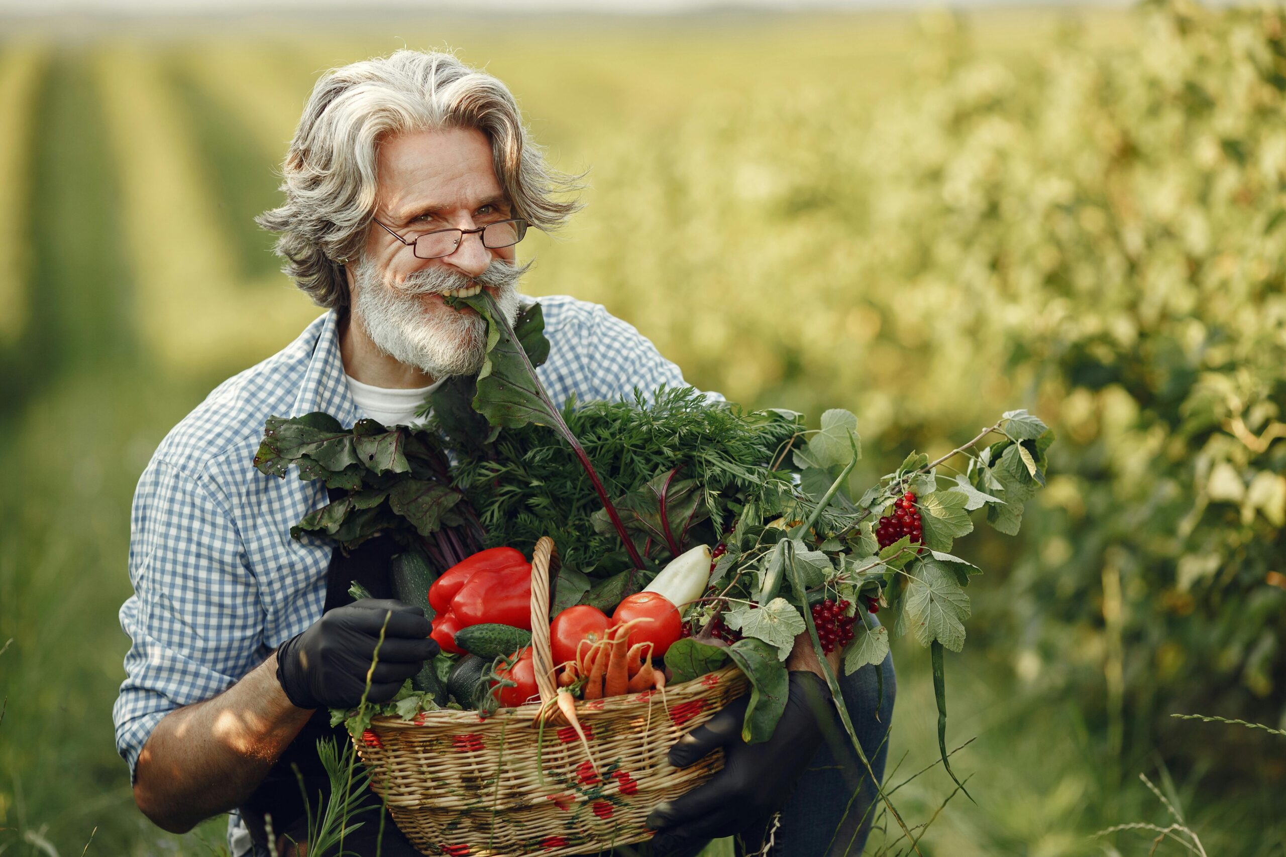 How To Grow Vegetables Indoors Without Sunlight