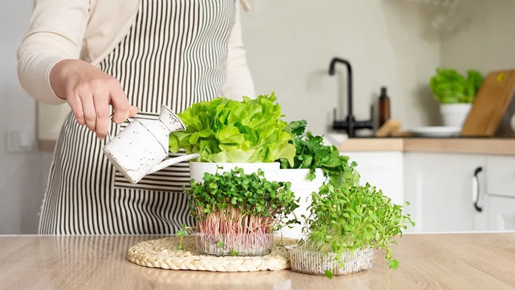 Indoor Vegetable Gardening