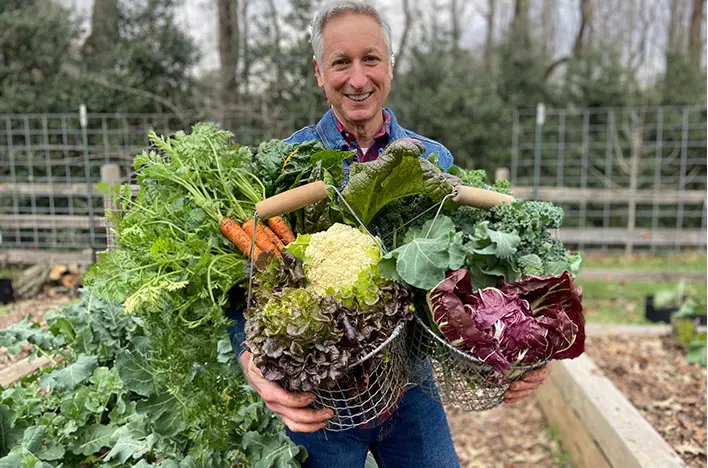 Growing Vegetables At Home in Pots