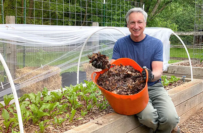 Mulching for Your Vegetable Garden