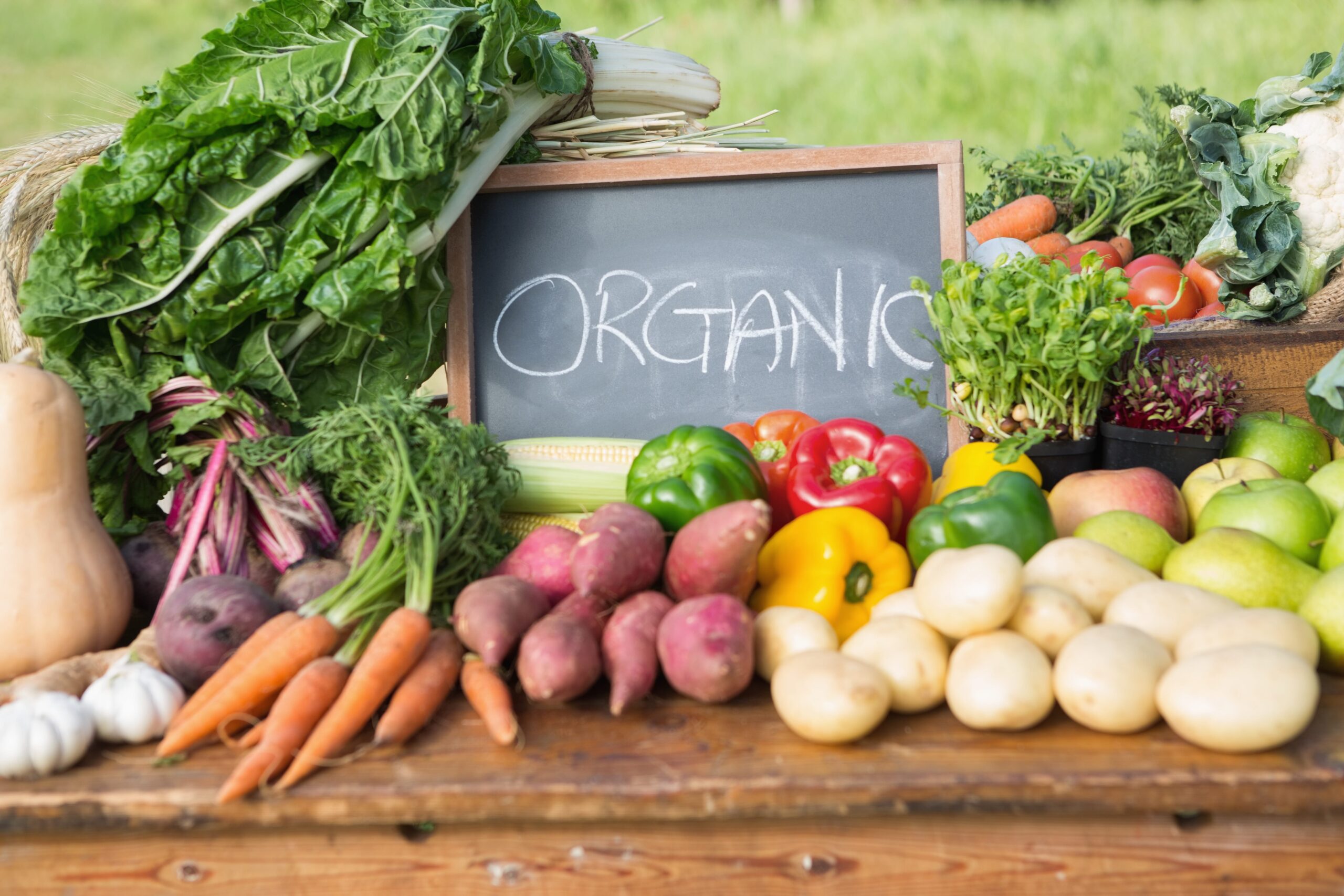 9 Essential Tips for Growing Vegetables in an Organic Garden