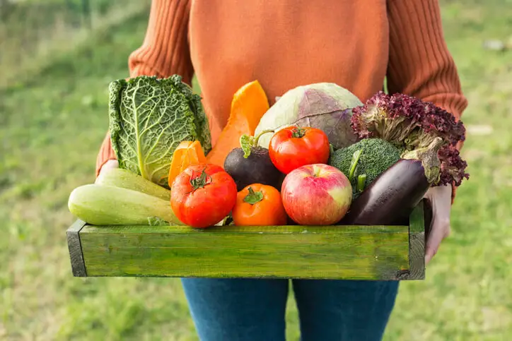 Perfect Vegetable Garden