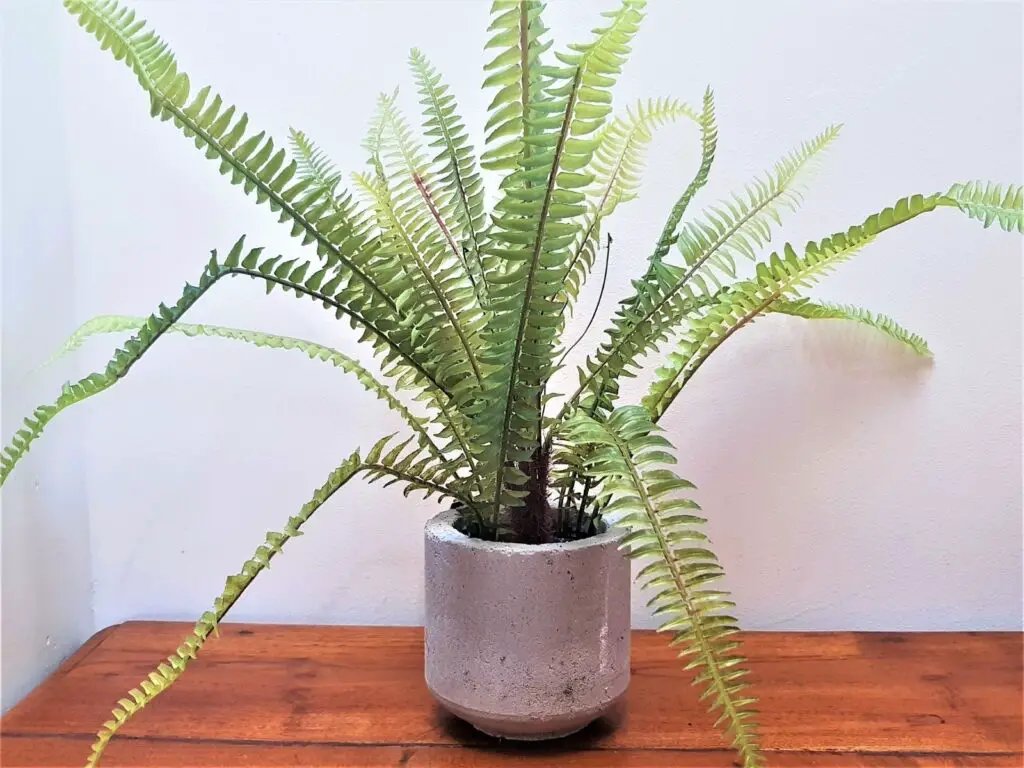 Artificial Hanging Plants
