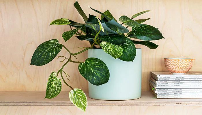 Artificial Hanging Plants