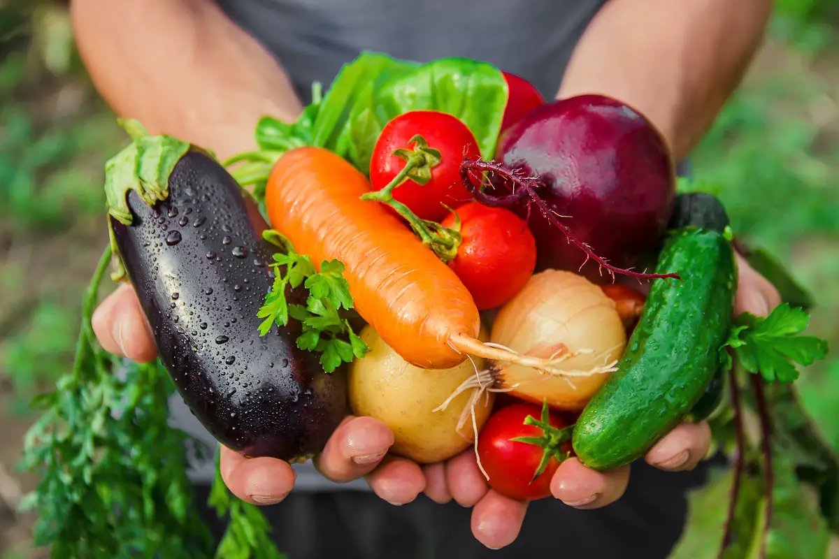 List of Garden Vegetables