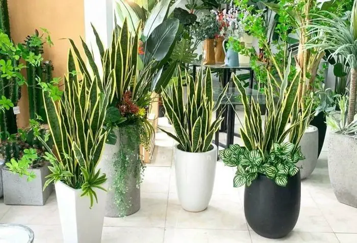 Artificial Hanging Plants