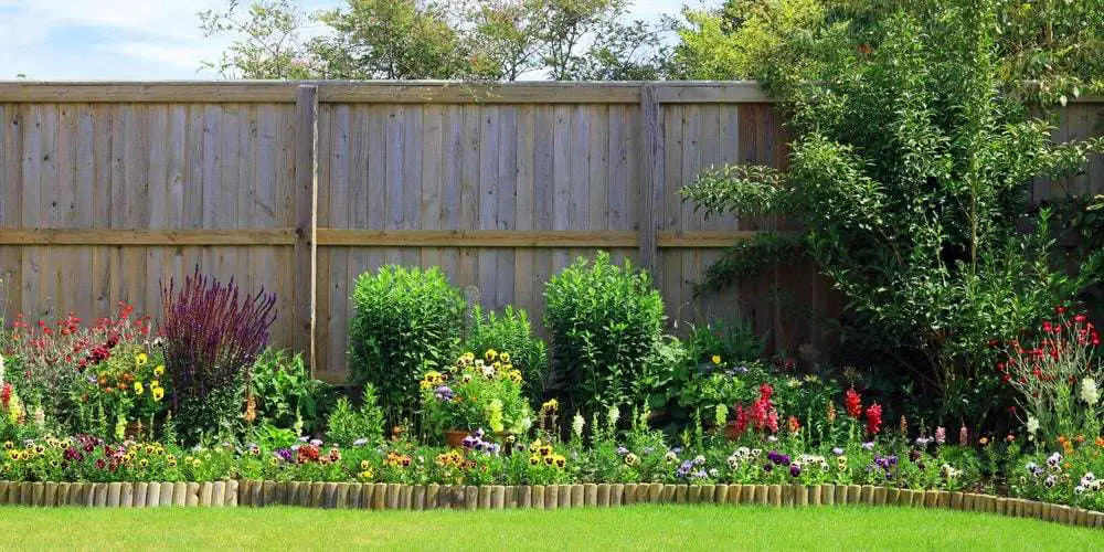 Best Plants For Fence Line