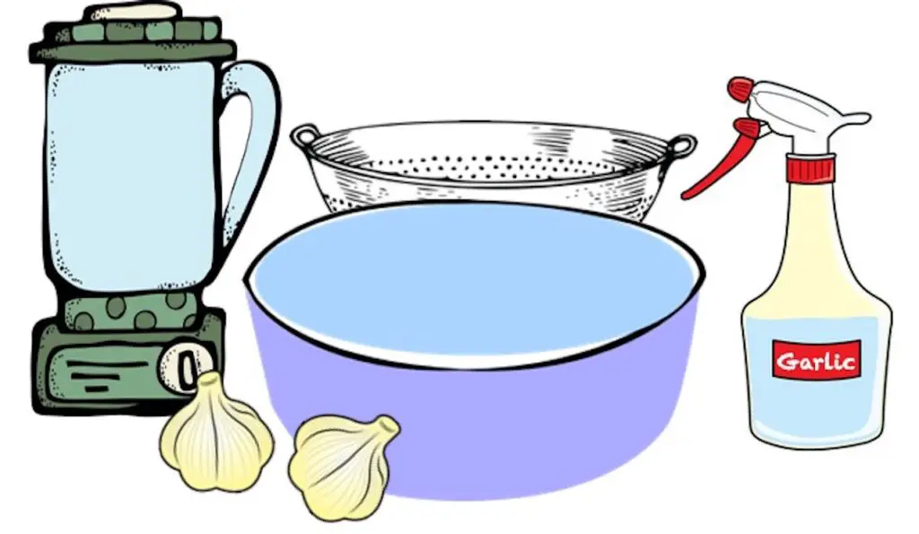 Homemade Pesticides for Plants