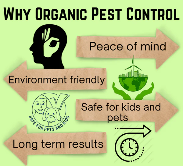 Homemade Pesticides for Flowering Plants