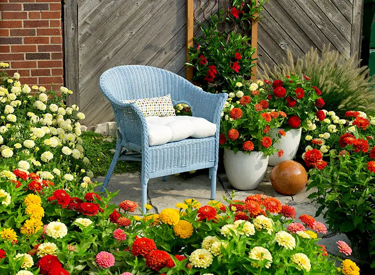 Impossible to Kill Outdoor Plants
