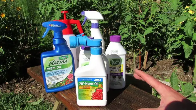 Homemade Pesticides for Flowering Plants