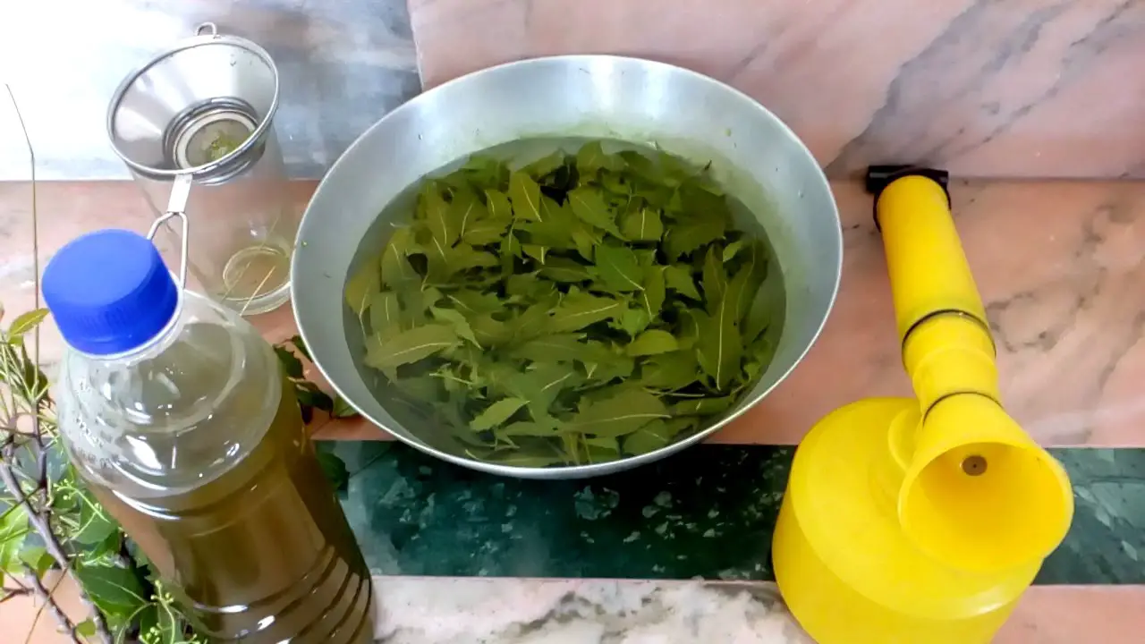 Homemade Pesticides for Flowering Plants